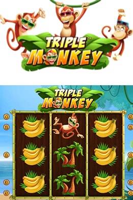 Triple Monkey