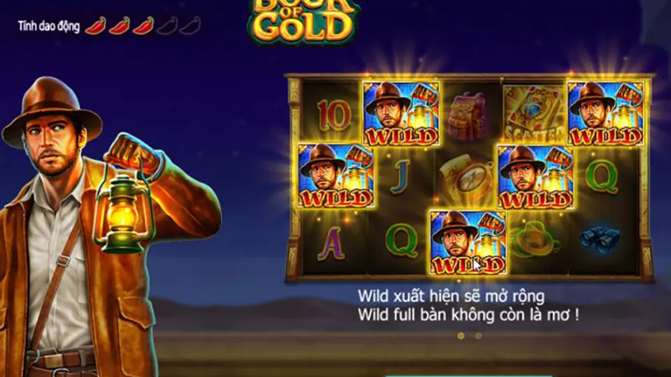 Book Of Gold